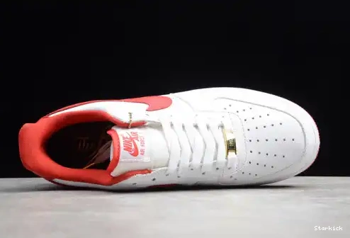 FO AIR FO FI NIKE FORCE LOW AQ5107-100 1 0522